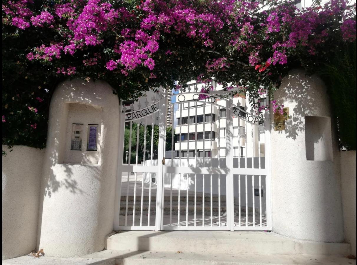 Apartamento Coffee Beach En Parque Europa 베니돔 외부 사진