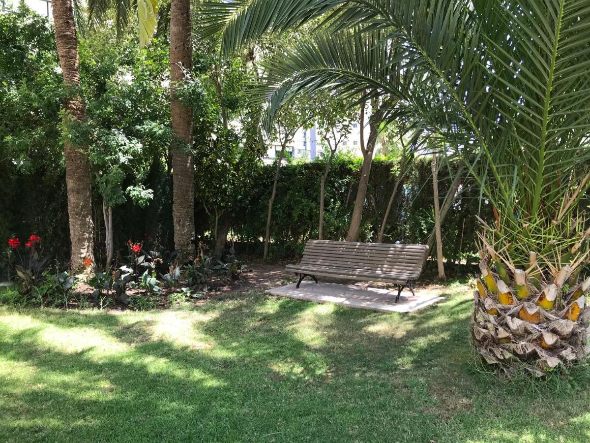 Apartamento Coffee Beach En Parque Europa 베니돔 외부 사진